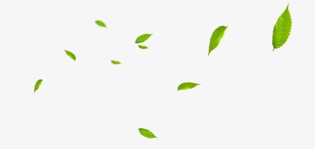 Floating Leaves PNG, Clipart, Falling, Floating Clipart, Floating Clipart, Green, Leaf Free PNG Download