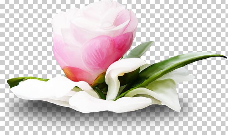 Flower Web Browser PNG, Clipart, Artificial Flower, Author, Blog, Bud, Cicek Free PNG Download