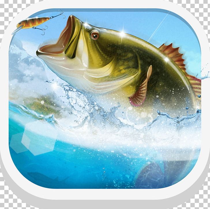 Let's Fish: Sport Fishing Games. Fishing Simulator Massively Multiplayer  Online Game PNG, Clipart, Free PNG Download