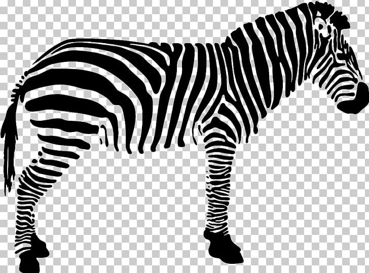 Quagga Black And White Zebra PNG, Clipart, Animal, Animal Figure, Animals, Animation, Coloring Book Free PNG Download