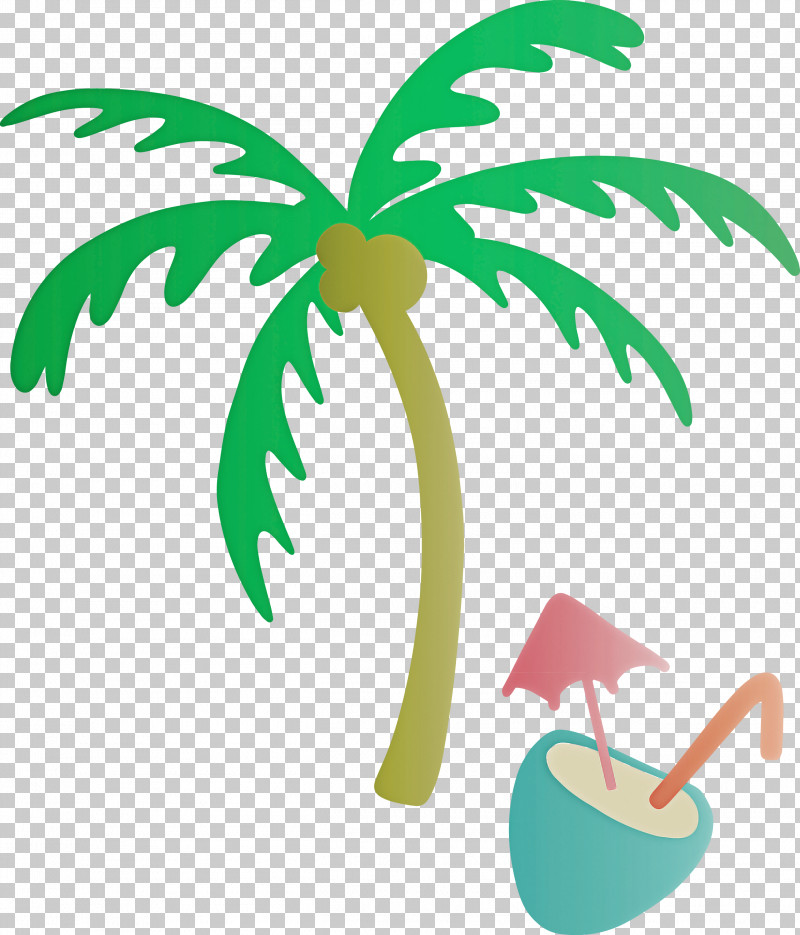 Summer Beach Vacation PNG, Clipart, Archontophoenix Cunninghamiana, Beach, Branch, Houseplant, Hyophorbe Free PNG Download