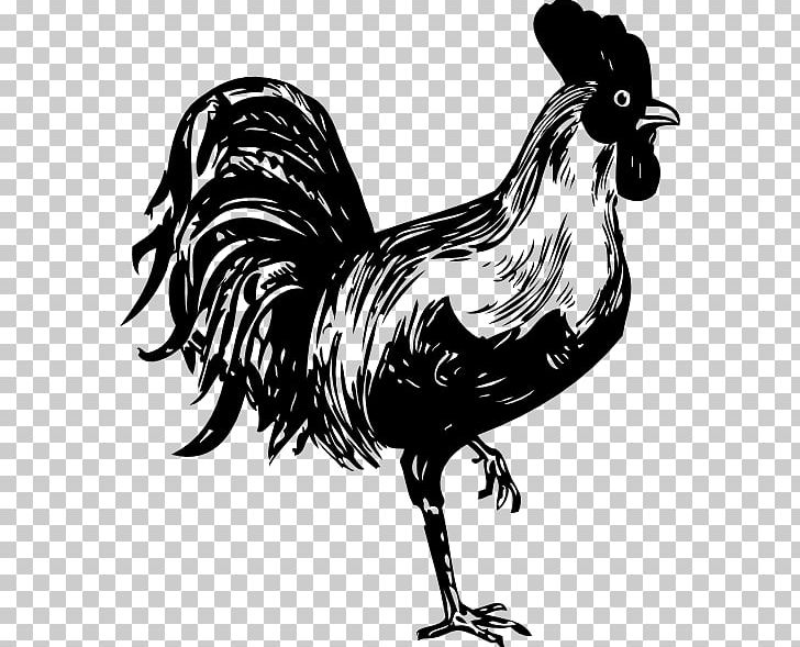 Chicken Rooster PNG, Clipart, Beak, Bird, Black And White, Chicken, Drawing Free PNG Download