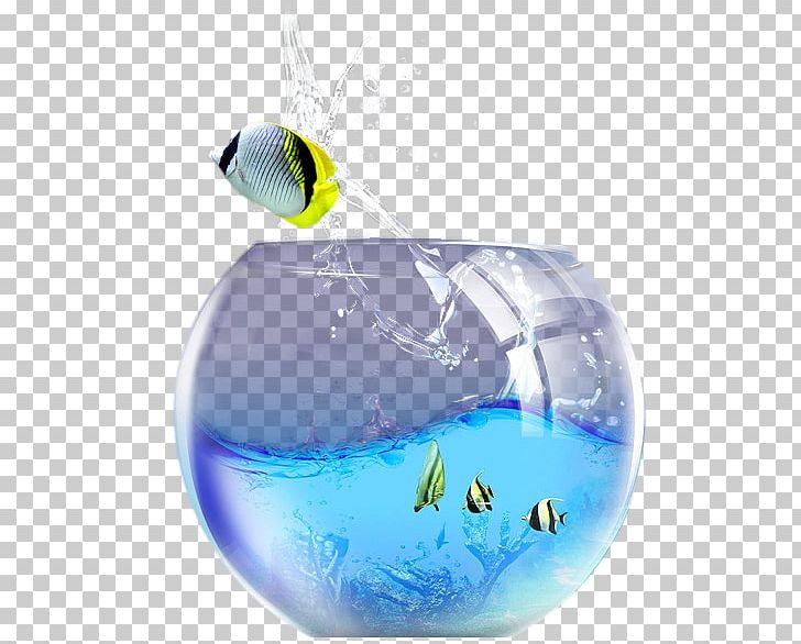 Desktop Android PNG, Clipart, 1080p, Android, Apple, Aquarium, Aquarium Fish Free PNG Download