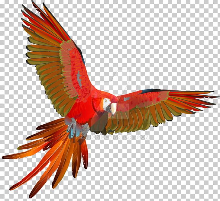 Scarlet Macaw Parrot Red-and-green Macaw Bird PNG, Clipart, Animal, Animals, Beak, Bird, Fauna Free PNG Download
