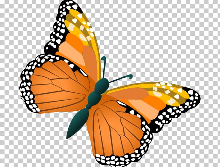 Monarch Butterfly Lee's Nursery And Landscaping Insect Pieridae PNG, Clipart,  Free PNG Download