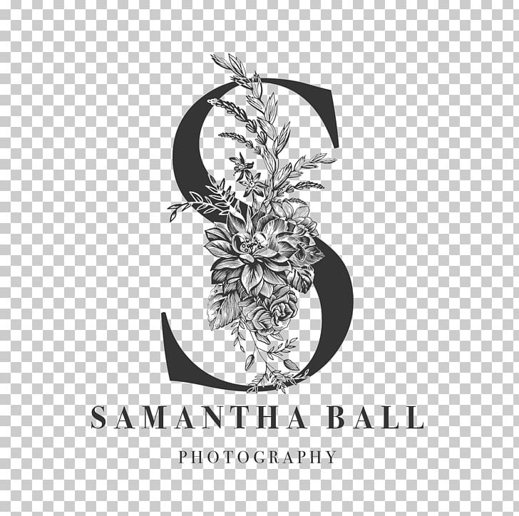 Sam Bee Web Logo Blog Serving Size Cup PNG, Clipart, Ball, Blog, Brand, Cup, Doterra Free PNG Download
