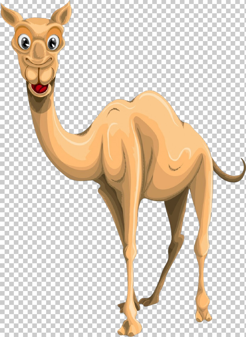 Camel Camelid Arabian Camel Animal Figure Wildlife PNG, Clipart, Animal Figure, Arabian Camel, Camel, Camelid, Fawn Free PNG Download