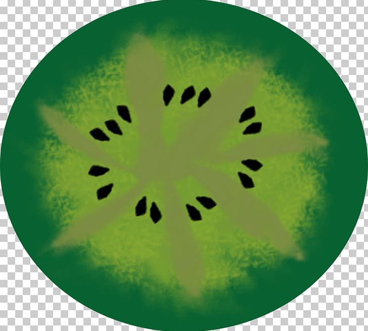 Green Circle Organism PNG, Clipart, Circle, Education Science, Green, Organism Free PNG Download