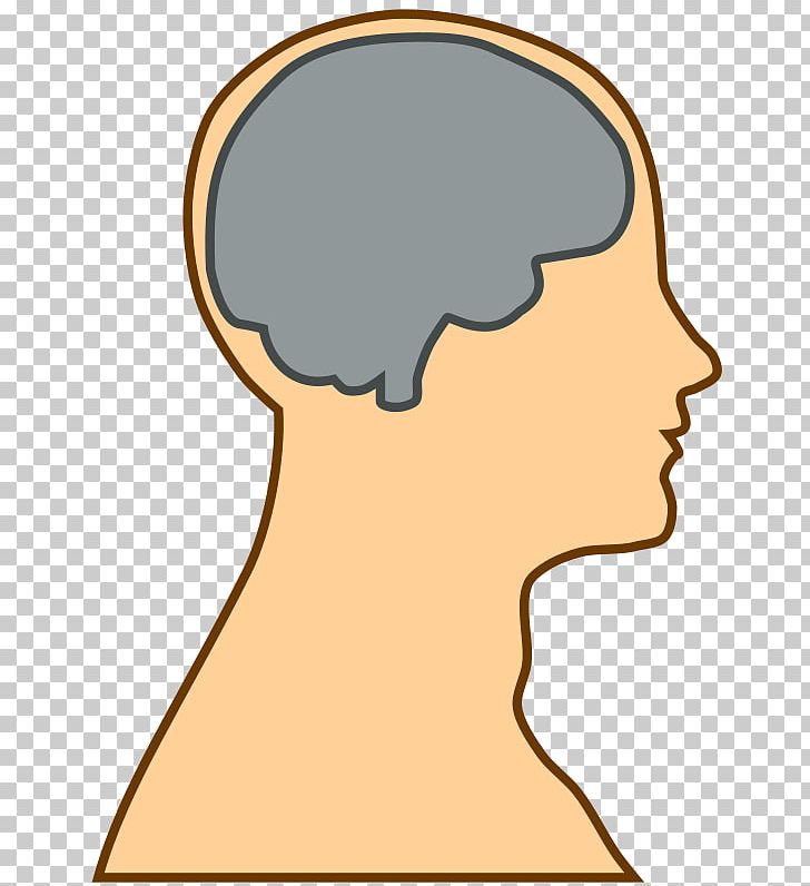 Human Brain PNG, Clipart, Brain, Brain Games Cliparts, Cheek, Diagram, Download Free PNG Download