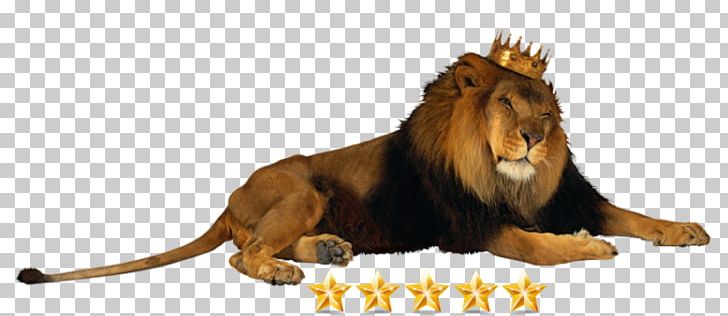 Lion Crown Jaguar King Of The Animals PNG, Clipart, Animal, Animals, Big Cats, Carnivoran, Cat Like Mammal Free PNG Download