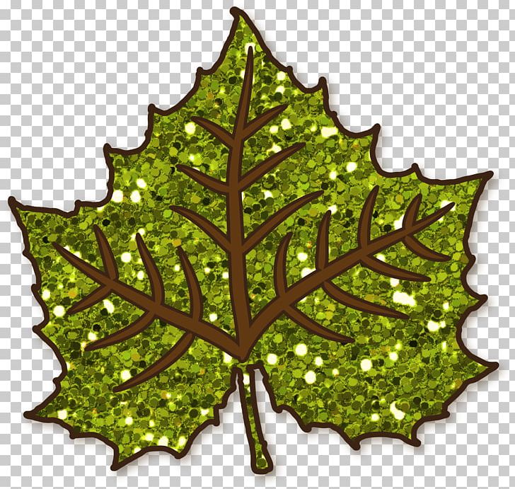 Tree Plant Leaf PNG, Clipart, Leaf, Nature, Plant, Tree Free PNG Download