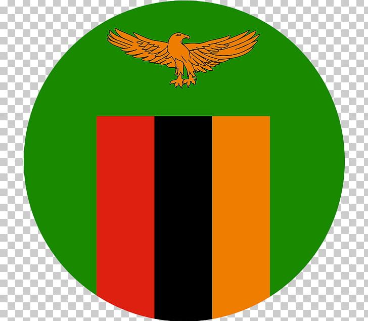 Football Association Of Zambia Green Logo Flag Of Zambia PNG, Clipart, Ceramic, Circle, Flag, Flag Of Zambia, Football Free PNG Download