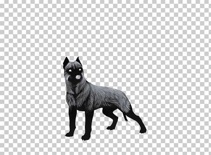 Dog Breed Schipperke American Pit Bull Terrier PNG, Clipart, American Pit Bull Terrier, Black And White, Breed, Bull Terrier, Carnivoran Free PNG Download