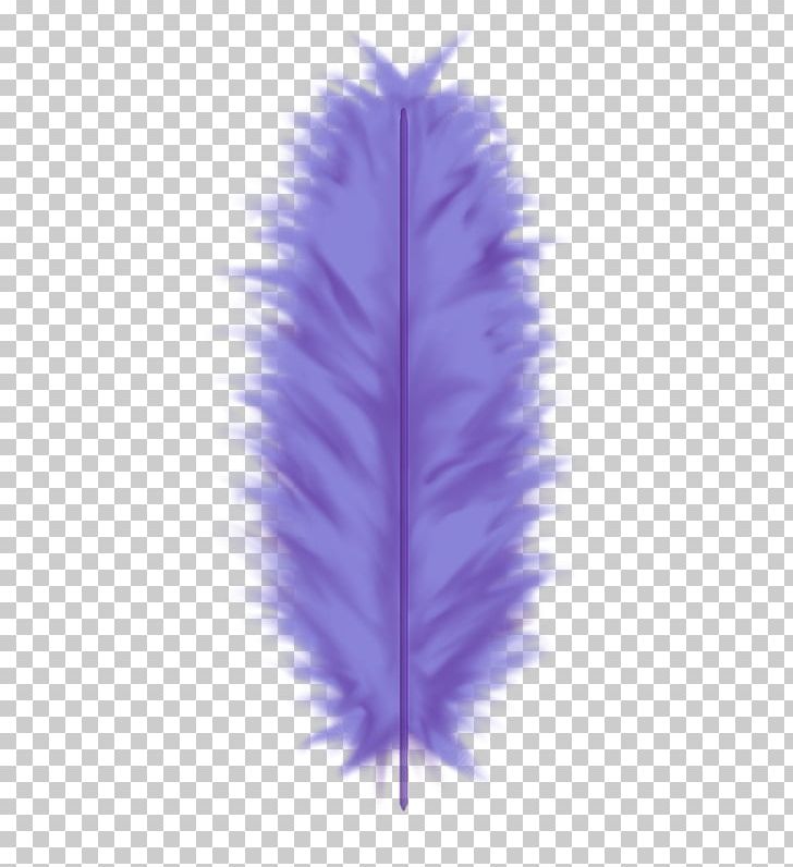 Feather PhotoScape PNG, Clipart, Adobe Flash, Bird, Blog, Digital Image, Dots Per Inch Free PNG Download