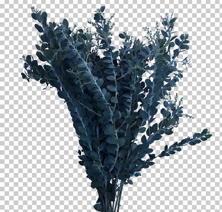 Gum Trees Flower Plant Twig Branch PNG, Clipart, Branch, Delivery, Family, Flower, Gum Trees Free PNG Download