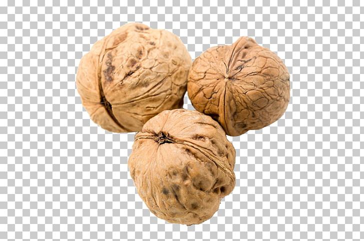 Walnut Food Nutrition Ingredient PNG, Clipart, Aire, Auglis, Button Minimizemaximizeclose, Close, Closed Free PNG Download