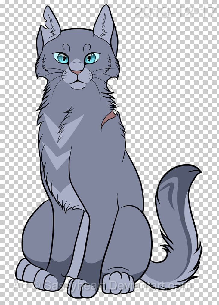 Whiskers Korat Kitten Tabby Cat Domestic Short-haired Cat PNG, Clipart, Animals, Ashfur, Black, Bluestar, Canidae Free PNG Download