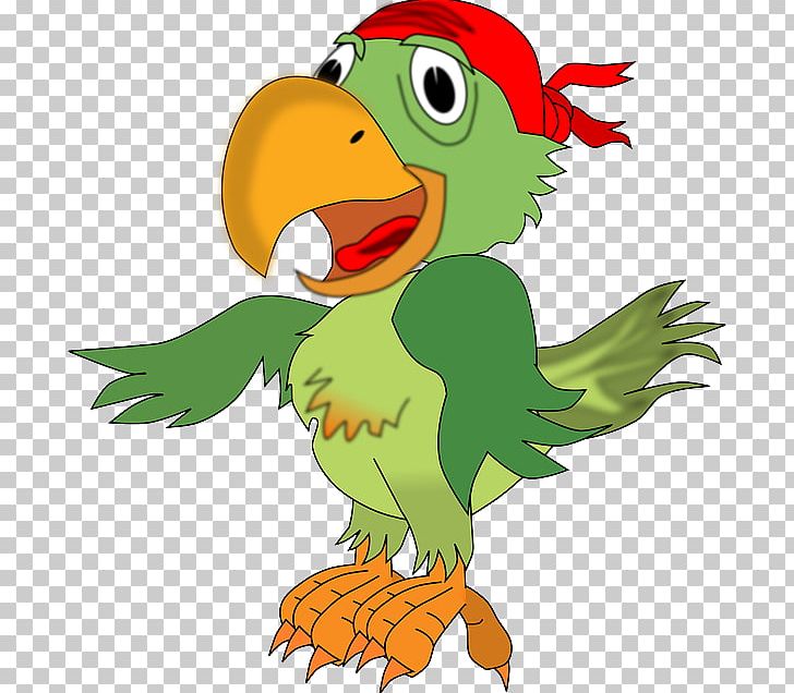 Pirate Parrot Piracy PNG, Clipart, Art, Beak, Bird, Cartoon, Chicken Free PNG Download