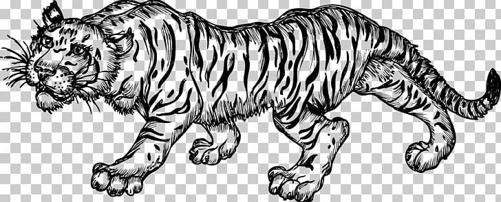 Tiger Black And White Drawing PNG, Clipart, Animal Figure, Animals, Artwork, Big Cats, Black And White Free PNG Download