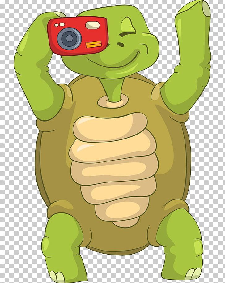 Turtle Photography Photographer PNG, Clipart, Animals, Art, Camera Icon, Camera Lens, Camera Logo Free PNG Download