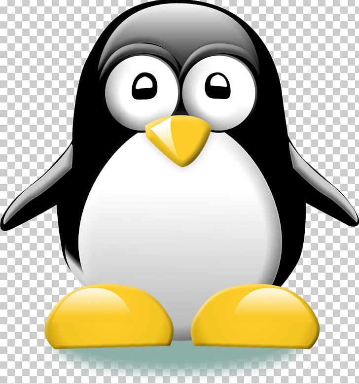 Tux Typing Tuxedo Tux PNG, Clipart, Beak, Bird, Computer Wallpaper, Flightless Bird, King Penguin Free PNG Download