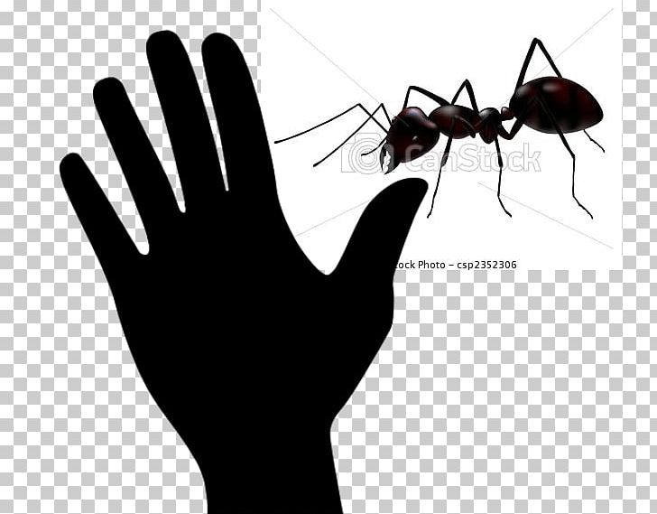 Ant Insect PNG, Clipart, Animals, Ant, Arm, Black And White, Black Garden Ant Free PNG Download