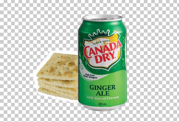 Ginger Ale Fizzy Drinks Carbonated Water Drink Mixer Canada Dry PNG, Clipart, Beverage Can, Canada Dry, Carbonated Water, Drink, Drink Mixer Free PNG Download