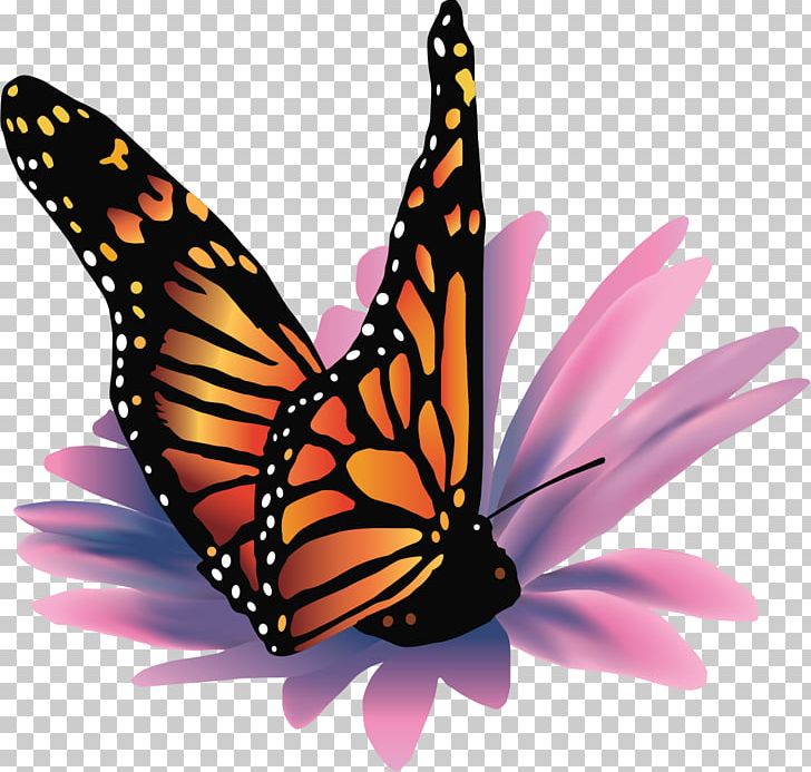 Monarch Butterfly Pieridae Brush-footed Butterflies Tiger Milkweed Butterflies PNG, Clipart, Arthropod, Brush Footed Butterfly, Butterfly, Butterfly Logo, Insect Free PNG Download