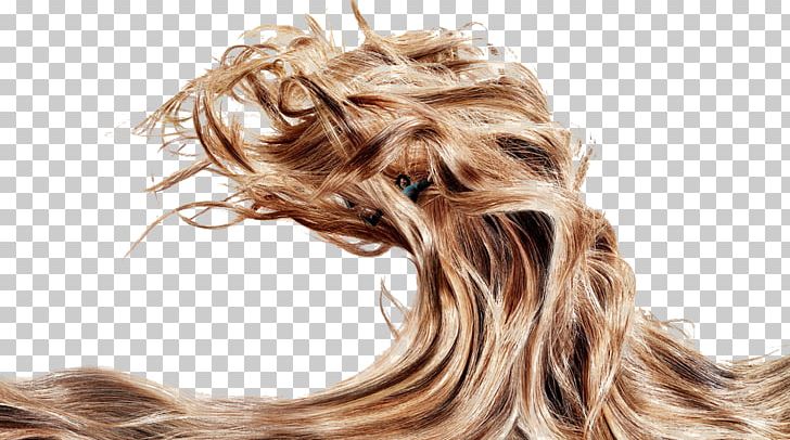 Advertising Campaign Shampoo Pantene Hair Care PNG, Clipart, Advertising, Advertising Agency, Art Director, Beauty, Black Hair Free PNG Download