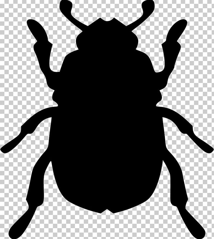 Beetle Biology PNG, Clipart, Animals, Artwork, Beatle, Beetle, Biological Membrane Free PNG Download
