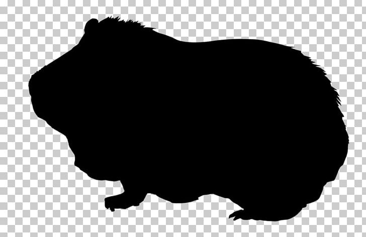 Guinea Pig Silhouette Drawing PNG, Clipart, Animals, Black, Black And White, Can Stock Photo, Drawing Free PNG Download