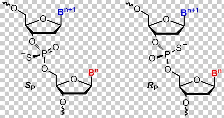 Oligonucleotide Synthesis Chemistry Nucleic Acid Chemical Synthesis PNG, Clipart, Acid, Angle, Area, Auto Part, Black And White Free PNG Download