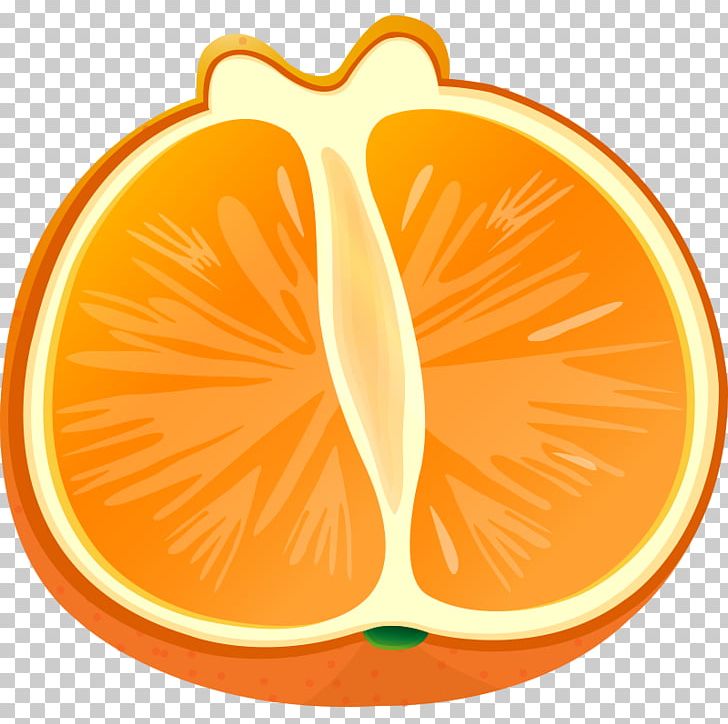 Orange Vegetable Grapefruit PNG, Clipart, Apple Fruit, Auglis, Citrus Junos, Delicious, Encapsulated Postscript Free PNG Download