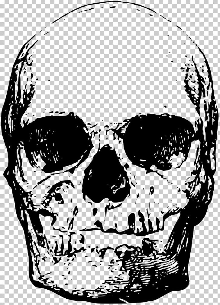 Skeleton PNG, Clipart, Black And White, Bone, Digital Image, Download, Drawing Free PNG Download