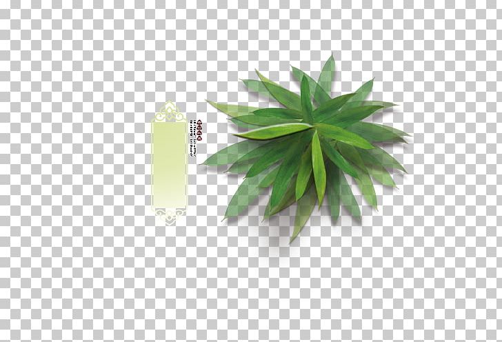 Zongzi Leaf Bxe1nh Chu01b0ng Bamboo PNG, Clipart, Bamboe, Bamboo, Boat, Boating, Boats Free PNG Download