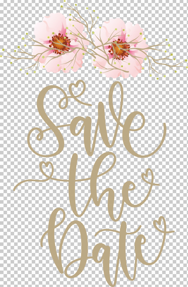 Floral Design PNG, Clipart, Biology, Branching, Cut Flowers, Floral Design, Flower Free PNG Download