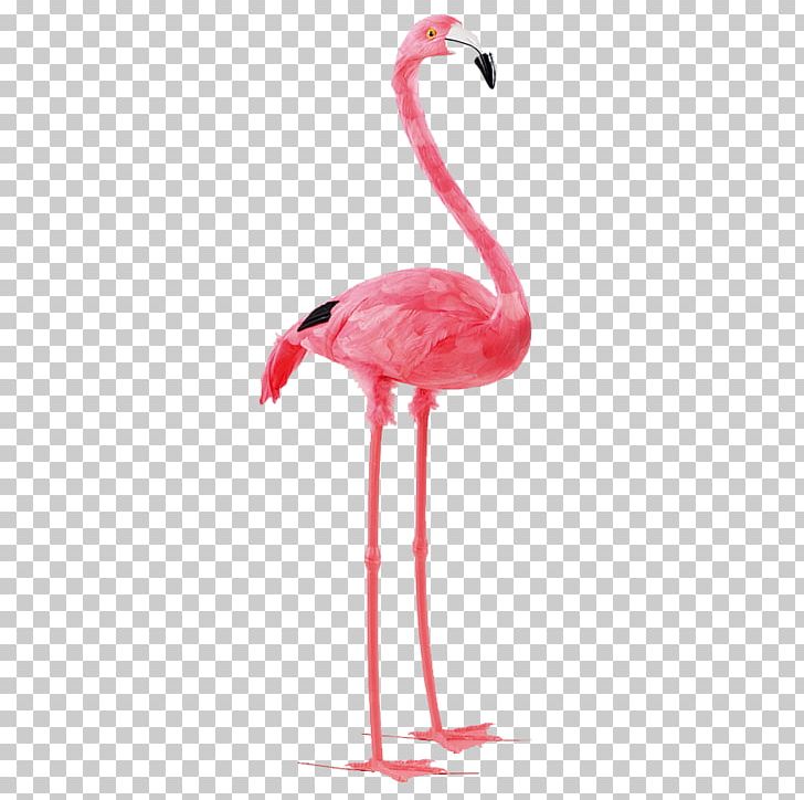 Bird Paper Flamingo Feather Pink PNG, Clipart, Animal, Animals, Beak, Bird, Blue Free PNG Download