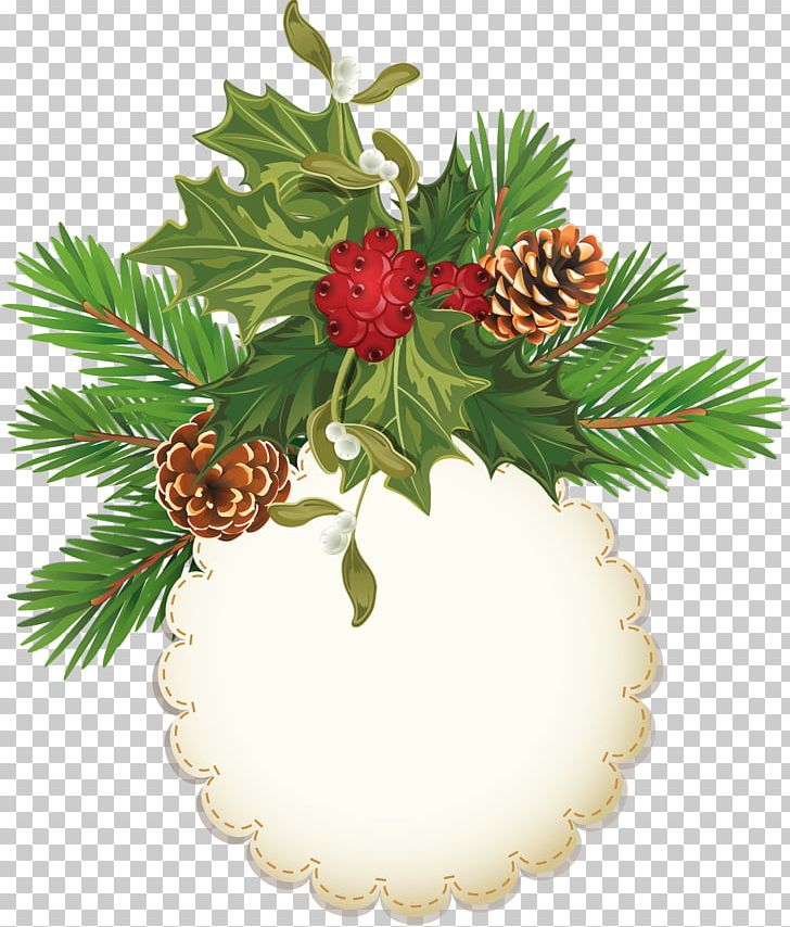 Conifer Cone Pine Tree PNG, Clipart, Christmas, Christmas Decoration, Christmas Ornament, Cone, Conifer Free PNG Download