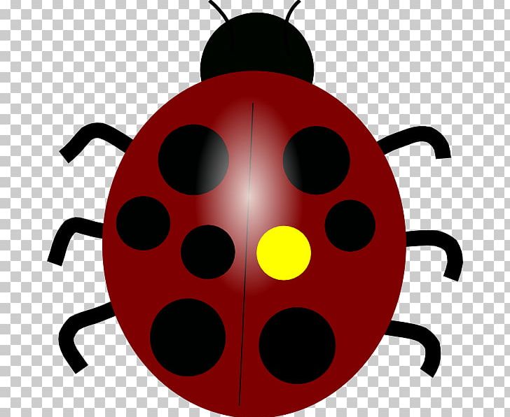 Ladybird Beetle PNG, Clipart, Beetle, Document, Download, Drawing, Insect Free PNG Download