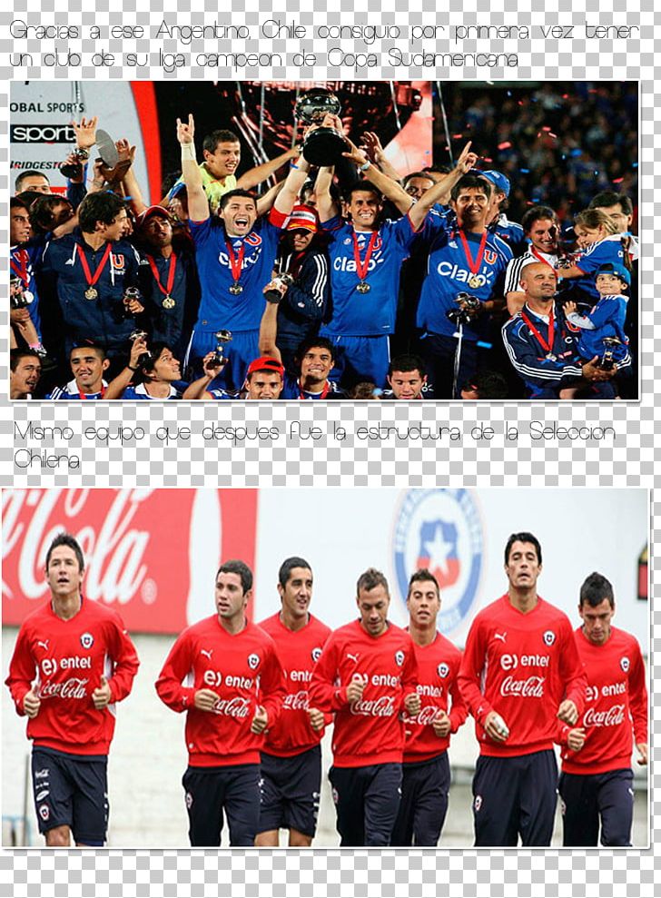 Team Sport Club Universidad De Chile Copa Sudamericana Tournament PNG, Clipart, Advertising, Championship, Chile, Club Universidad De Chile, Competition Free PNG Download