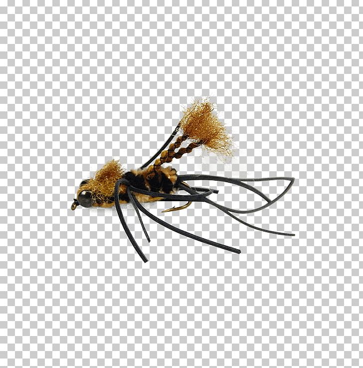 Honey Bee Crayfish Bass Fly Fishing PNG, Clipart, Arthropod, Bass, Bee, Chart, Crayfish Free PNG Download