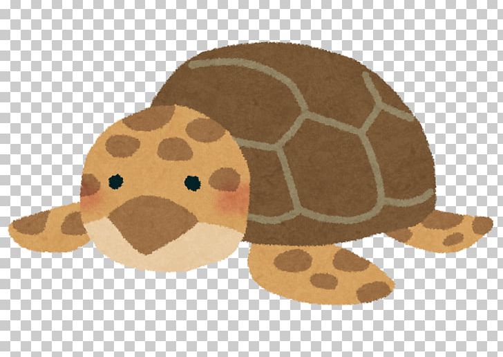 Sea Turtle Tortoise Reptile Carapace PNG, Clipart, Animals, Carapace, Coupon, Gratis, Green Sea Turtle Free PNG Download