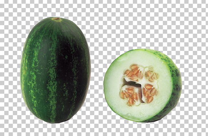 Watermelon Juice Cantaloupe Fruit PNG, Clipart, Bitter Melon, Citrullus, Cucumber Gourd And Melon Family, Cucumis, Cut Free PNG Download
