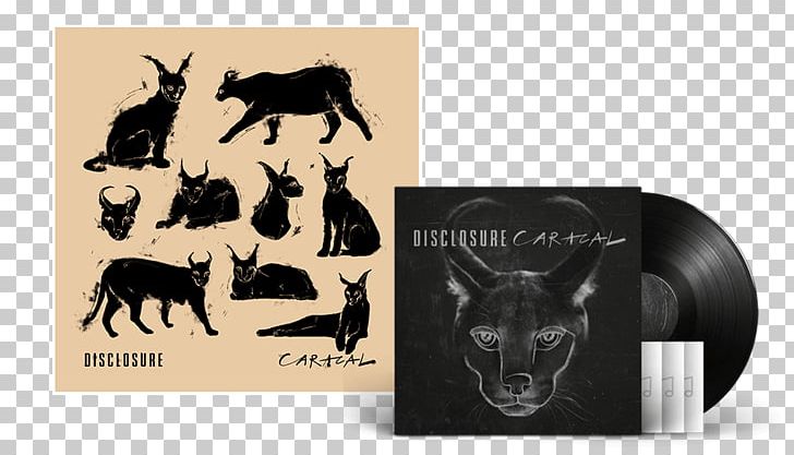 Caracal Compact Disc Disclosure Album Phonograph Record PNG, Clipart, Album, Amazon Music, Booklet, Brand, Caracal Free PNG Download