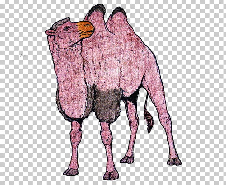 Dromedary Bactrian Camel Horse Pack Animal Mammal PNG, Clipart, Animals, Arabian Camel, Bactrian Camel, Camel, Camel Like Mammal Free PNG Download