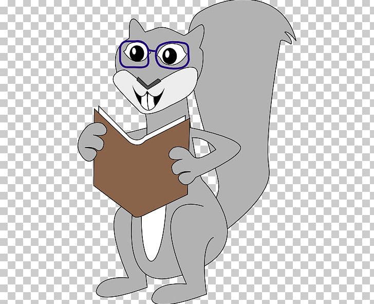 Eastern Gray Squirrel PNG, Clipart, Carnivoran, Cartoon, Cat, Cat Like Mammal, Dog Like Mammal Free PNG Download