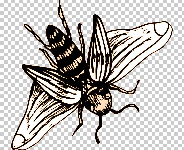 Insect Wing Western Honey Bee Drawing PNG, Clipart, Animals, Apidae, Brush Footed Butterfly, Fictional Character, Flower Free PNG Download
