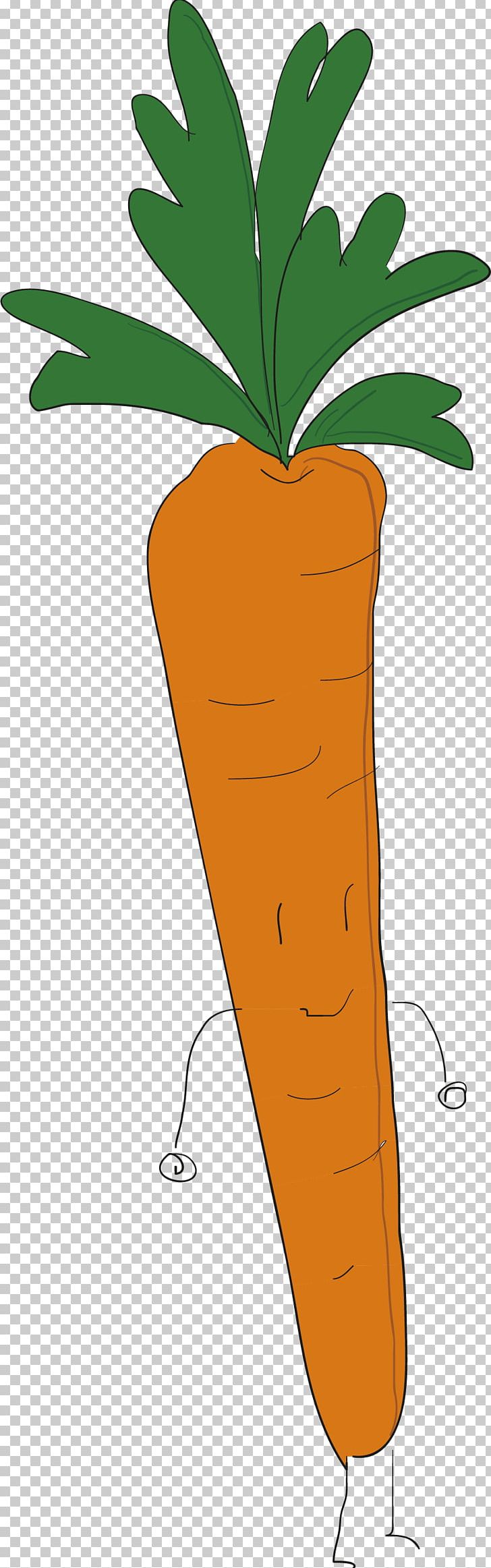 Juice Carrot Vegetable PNG, Clipart, Area, Botany, Broccoli, Bunch Of Carrots, Carrot Juice Free PNG Download