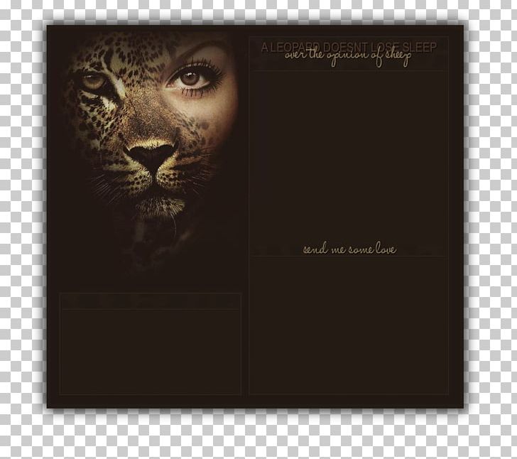 Tiger Lion Cat Morphing Jaguar PNG, Clipart, Animal, Animal Faces, Animals, Big Cats, Carnivoran Free PNG Download