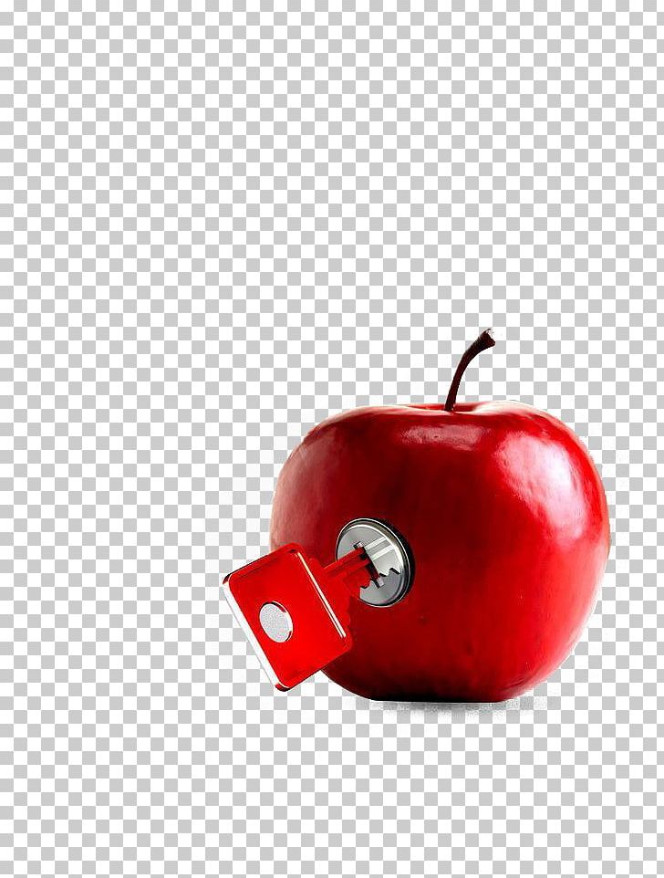 Xingtai Digital Marketing Apple Business PNG, Clipart, Apple, Business, Cherry, Company, Computer Wallpaper Free PNG Download